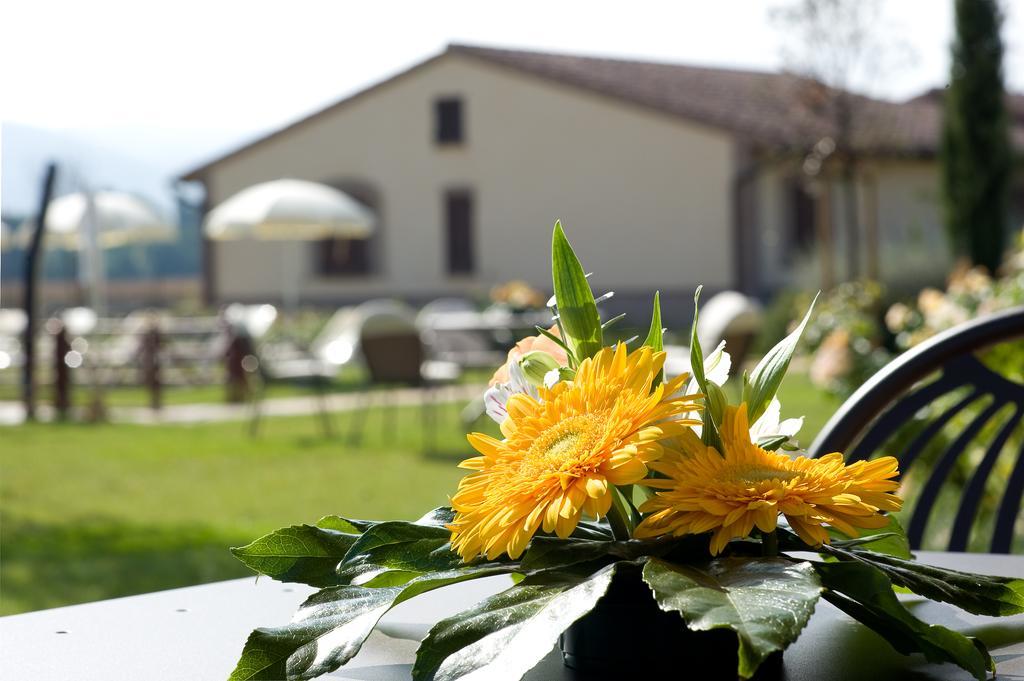 Agriturismo Le Rondini Di Francesco Di Assisi Cannara Extérieur photo