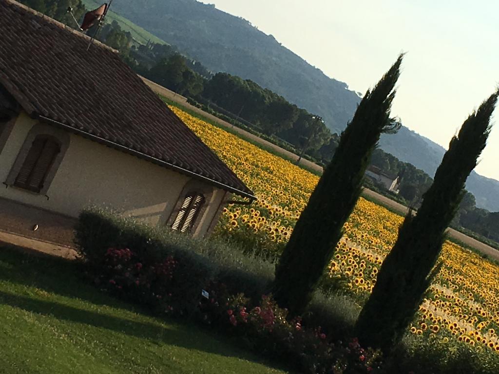 Agriturismo Le Rondini Di Francesco Di Assisi Cannara Extérieur photo